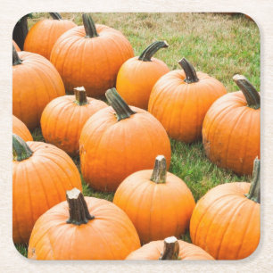 Pumpkins for Sale at a Farmer's Market Square Paper Coaster