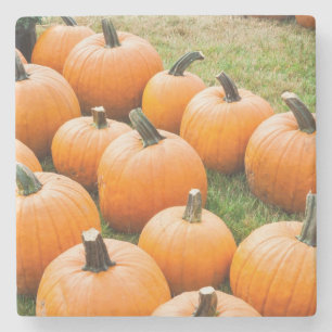 Pumpkins for Sale at a Farmer's Market Stone Coaster