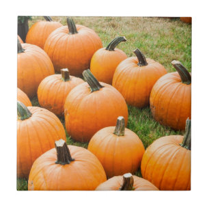 Pumpkins for Sale at a Farmer's Market Tile