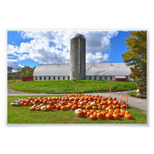 Pumpkins for Sale at Pennsylvania Farm Barn Photo Print