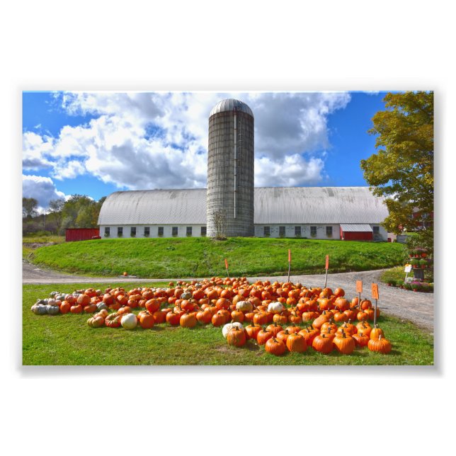 Pumpkins for Sale at Pennsylvania Farm Barn Photo Print (Front)