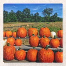 Pumpkins for Sale Glass Coaster