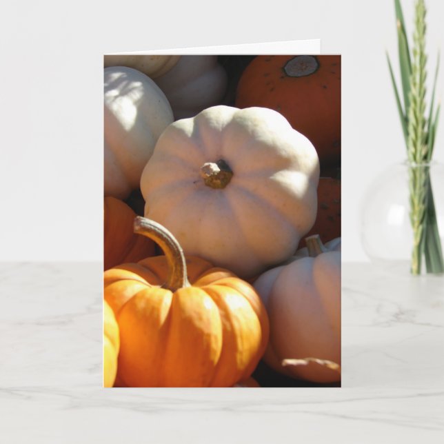 Pumpkins, Happy Thanksgiving Holiday Card (Front)