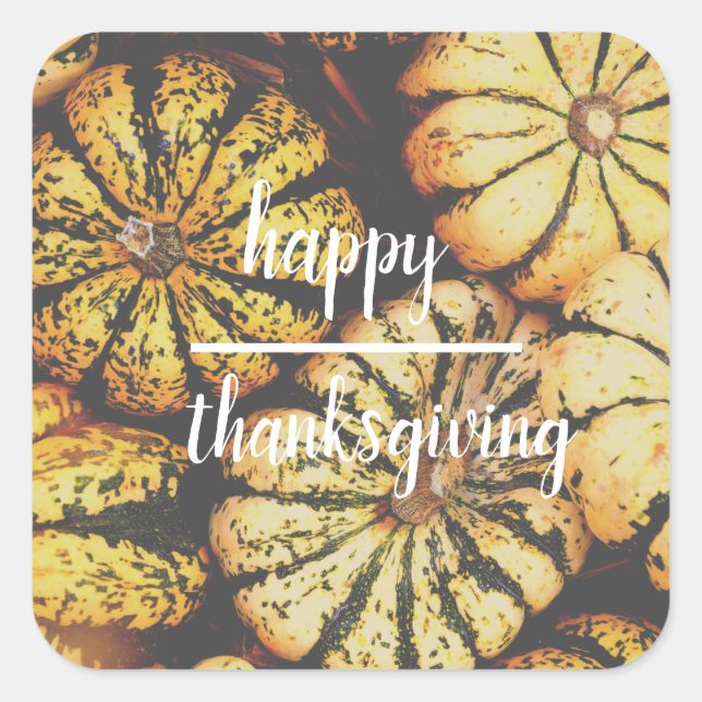 Pumpkins Happy Thanksgiving Square Sticker (Front)