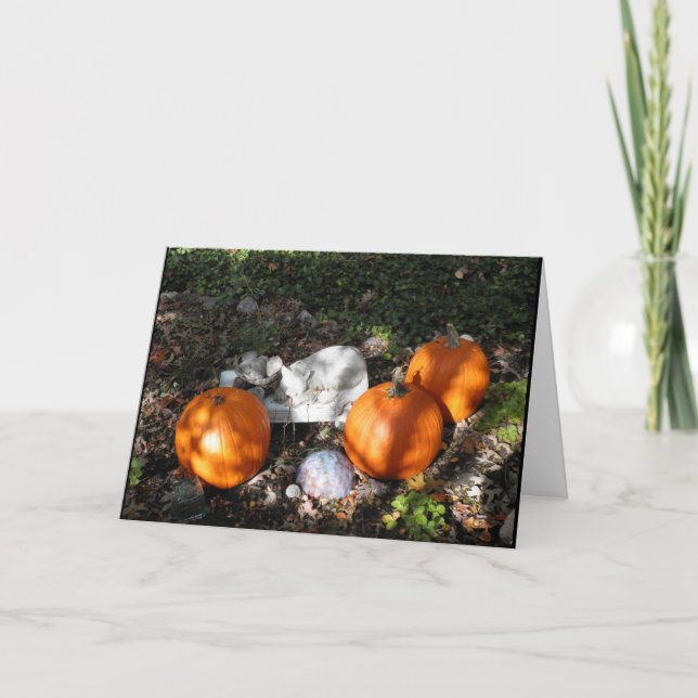 Pumpkins in Dappled Light Greeting Card (Front)