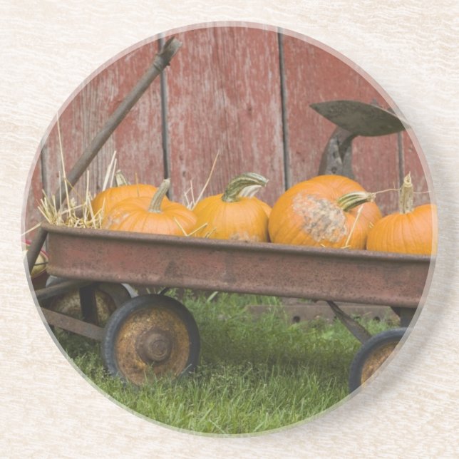 Pumpkins in old wagon coaster (Front)