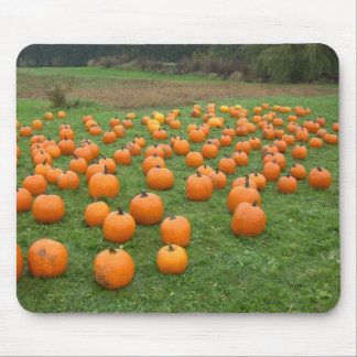 Pumpkins in the field mouse mat