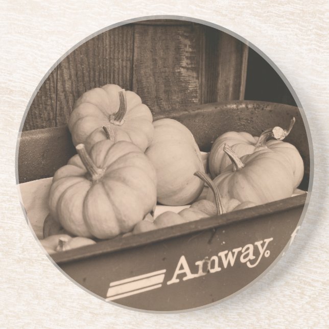 Pumpkins In Wagon Sepia Coaster (Front)