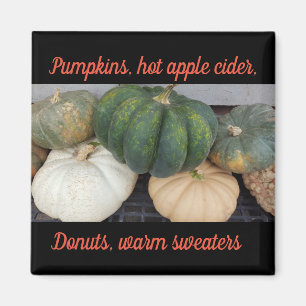 Pumpkins Magnet