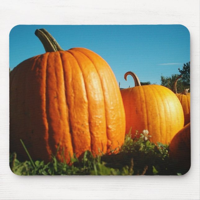 Pumpkins Mouse Mat (Front)