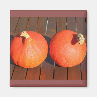 Pumpkins on a wooden table magnet