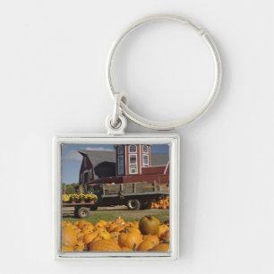 Pumpkins on farm in autumn near Concord, 2 Key Ring