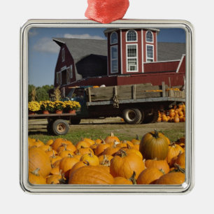 Pumpkins on farm in autumn near Concord, 2 Metal Tree Decoration