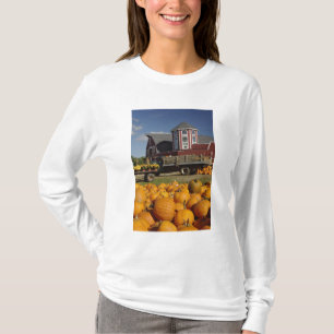 Pumpkins on farm in autumn near Concord, 2 T-Shirt