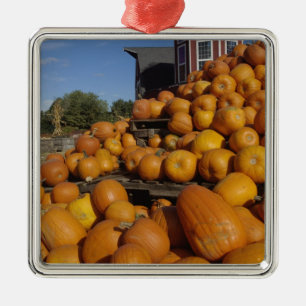 Pumpkins on farm in autumn near Concord, Metal Tree Decoration