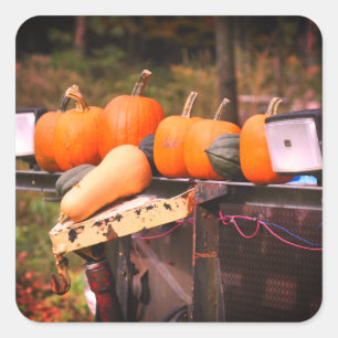 Pumpkins On Old Truck  Square Sticker