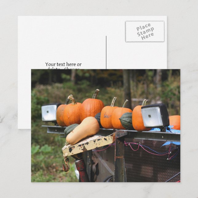 Pumpkins On Truck Country Personalised Postcard (Front/Back)