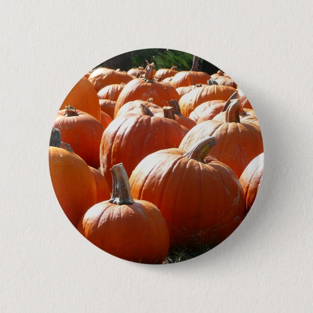 Pumpkins Photo for Fall, Halloween or Thanksgiving 6 Cm Round Badge (Front)