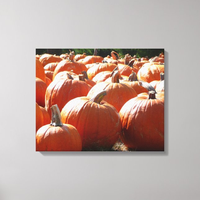 Pumpkins Photo for Fall, Halloween or Thanksgiving Canvas Print (Front)