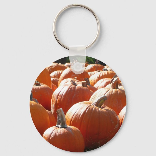 Pumpkins Photo for Fall, Halloween or Thanksgiving Key Ring (Front)