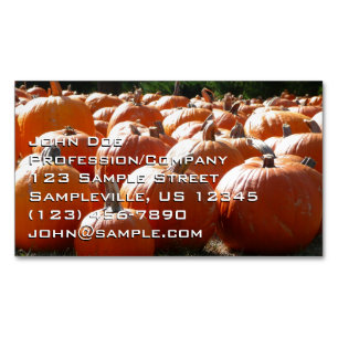 Pumpkins Photo for Fall, Halloween or Thanksgiving Magnetic Business Card