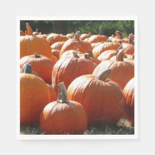 Pumpkins Photo for Fall, Halloween or Thanksgiving Napkin
