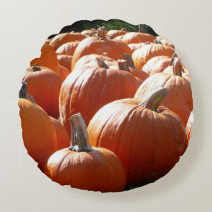Pumpkins Photo for Fall, Halloween or Thanksgiving Round Cushion