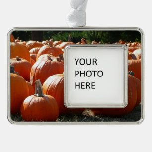 Pumpkins Photo for Fall, Halloween or Thanksgiving Silver Plated Framed Ornament