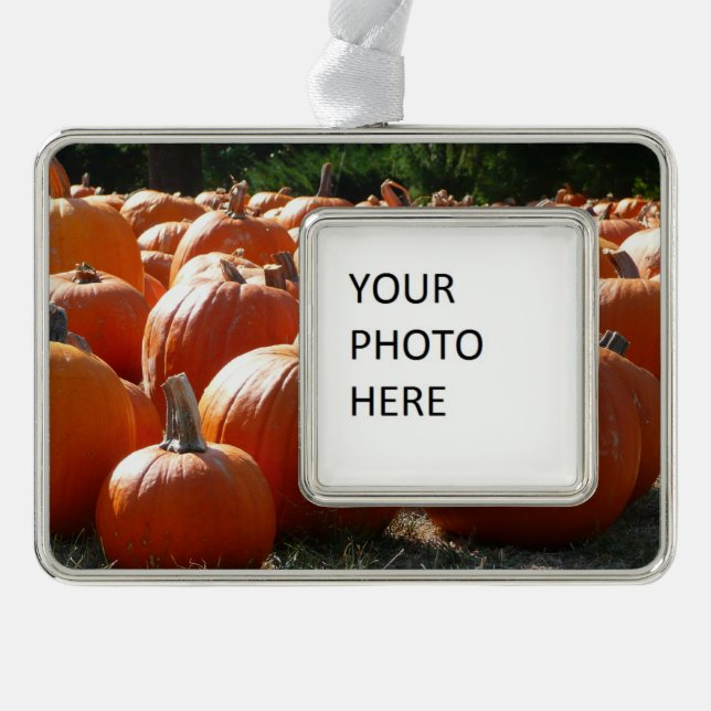 Pumpkins Photo for Fall, Halloween or Thanksgiving Silver Plated Framed Ornament (Front)