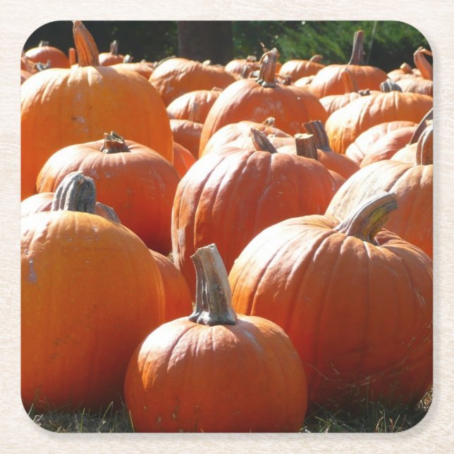Pumpkins Photo for Fall, Halloween or Thanksgiving Square Paper Coaster (Front)