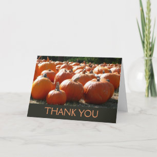 Pumpkins Photo for Fall, Halloween or Thanksgiving Thank You Card