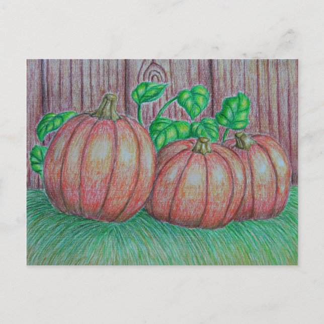 Pumpkins Postcard (Front)