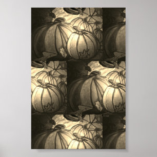 Pumpkins Poster