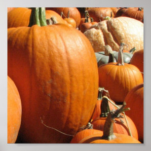 Pumpkins Poster