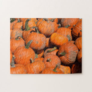 Pumpkins, Pumpkins, Pumpkins - 11x14 - 252 pcs. Jigsaw Puzzle