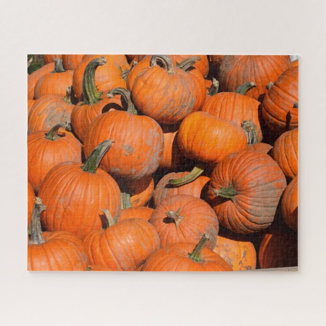 Pumpkins, Pumpkins, Pumpkins - 16x20 - 520 pcs. Jigsaw Puzzle (Horizontal)