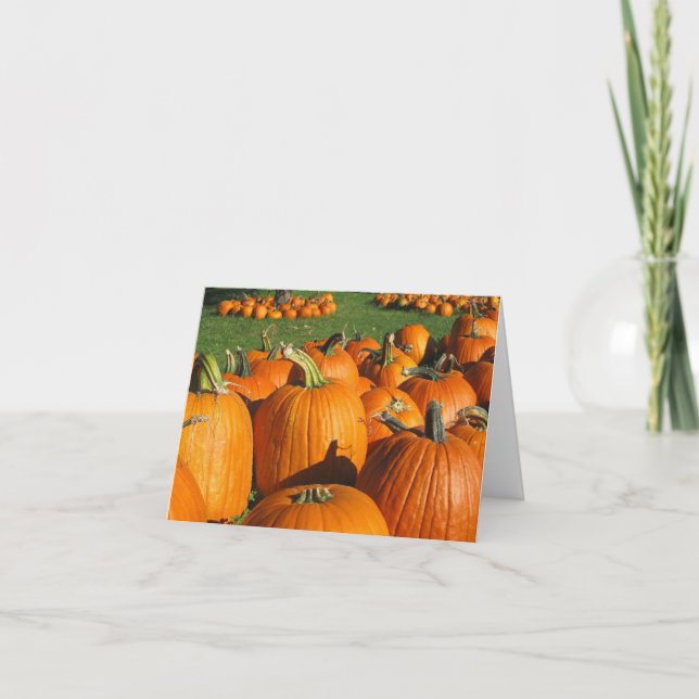Pumpkins Roca Berry Farm card  4 (Front)