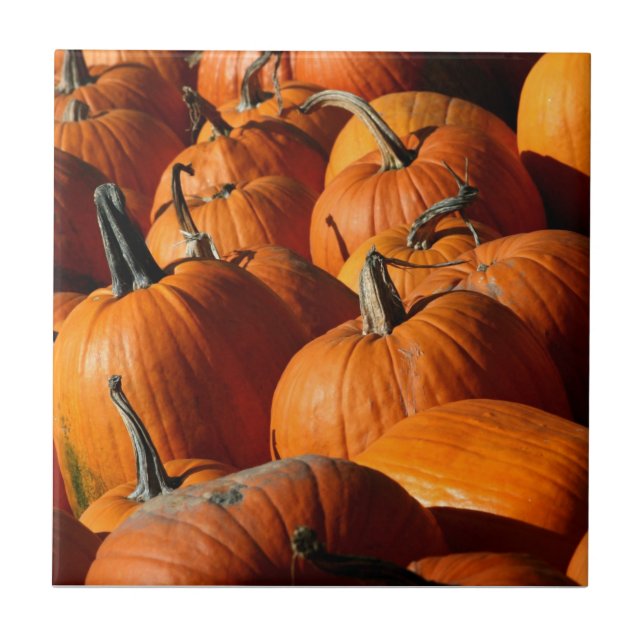 Pumpkins Tile (Front)
