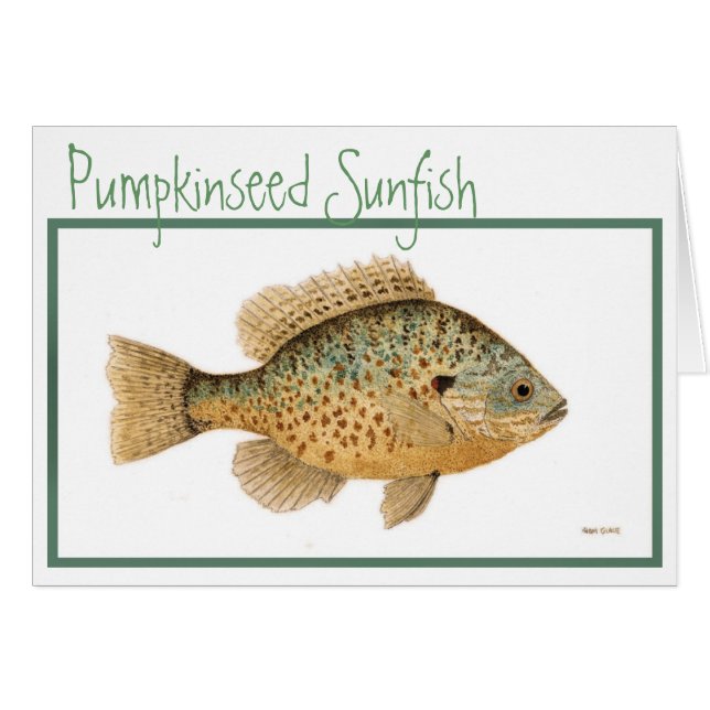 Pumpkinseed Sunfish card (Front Horizontal)
