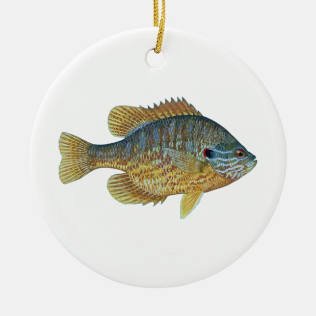 Pumpkinseed Sunfish Ceramic Tree Decoration (Front)