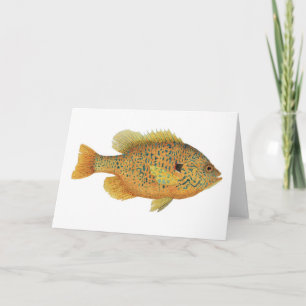 Pumpkinseed Sunfish Watercolor Card