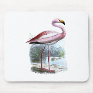 Puna Flamingo Vintage Illustration Mouse Mat