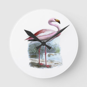 Puna Flamingo Vintage Illustration Round Clock