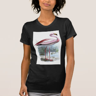 Puna Flamingo Vintage Illustration T-Shirt