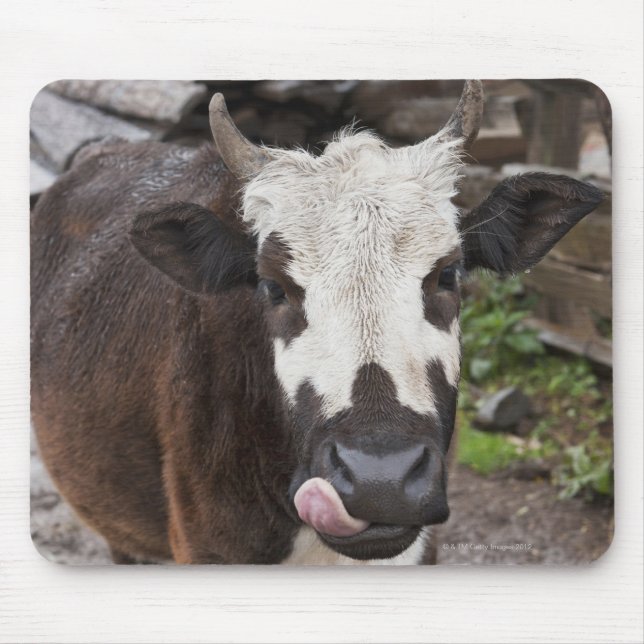 punakha district bhutan mouse mat (Front)