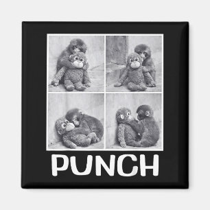 Punch baby monkey meme  magnet