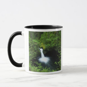 Punchbowl Falls on Eagle Creek, Columbia River Mug