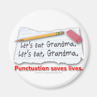 Punctuation Saves Lives Magnet