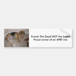 Punish The Deed NOT the Breed Bumper Sticker