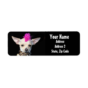 Punk Chihuahua Address Labels